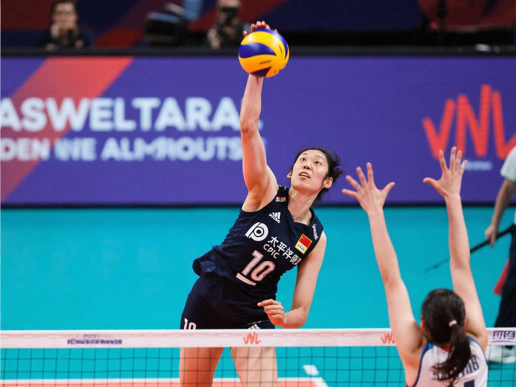 挥了他的速 挥了他的速